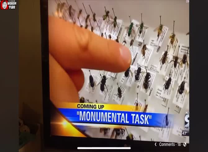 Video :This report abruptly became Pegi 18
